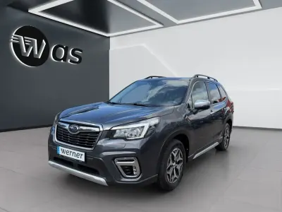 Gebraucht Subaru Forester
