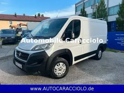 Gebraucht Fiat Ducato 116 PS (85 kW) 2018 Weiß Van