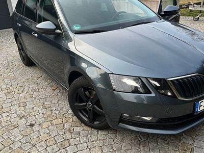Gebraucht Skoda Octavia Ambition 150 PS (110 kW) 2019 Grau Kombi