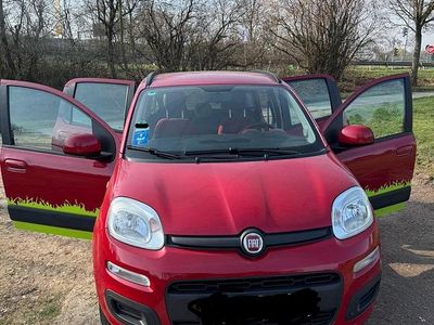 Gebraucht Fiat Panda 68 PS (50 kW) 2014 Rot Kleinwagen