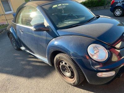 VW Beetle