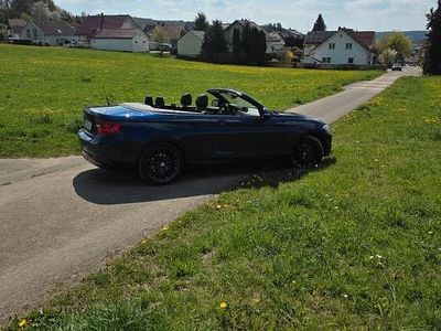 Usata BMW 220 Advantage 184 CV (135 kW) 2016 Blu Cabrio