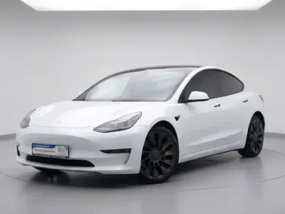 Gebraucht Tesla Model 3 Performance 377 kW (513 PS) 2021 Pearl white multicoat Limousine