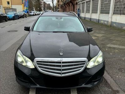 gebraucht Mercedes E300 CDI T BlueEFFICIENCY ELEGANCE ELEGANCE