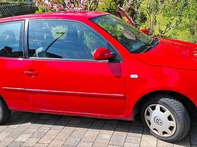 Usata VW Lupo 50 CV (36 kW) 2004 Rosso Utilitaria