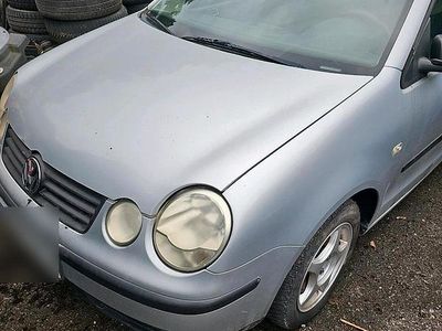 VW Polo