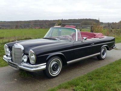 gebraucht Mercedes 220 SE b Cabriolet (W 111) - Traumauto der 60er Jahre