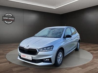 Gebraucht Skoda Fabia Selection 95 PS (69 kW) 2023 Silber Kleinwagen
