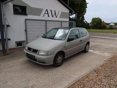 VW Polo
