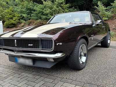 Gebraucht Chevrolet Camaro 280 PS (205 kW) 1967 Braun Coupé