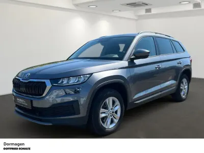 Gebraucht Skoda Kodiaq Ambition 150 PS (110 kW) 2023 Grau SUV
