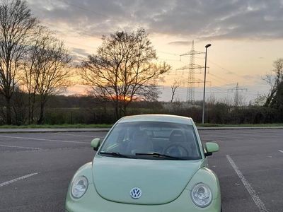 VW Beetle
