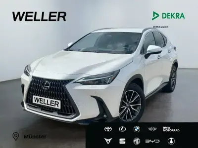 Gebraucht Lexus NX450h+