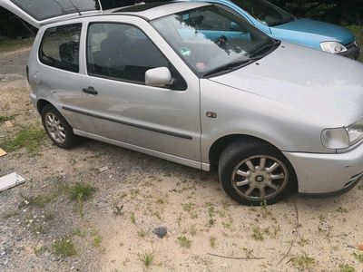 VW Polo