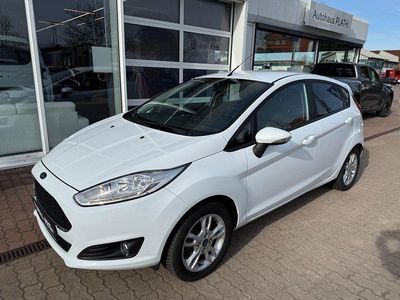 Używany Ford Fiesta Trend 80 KM (58 kW) 2016 Biały Hatchback