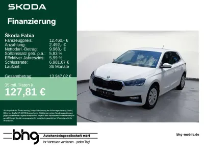 Gebraucht Skoda Fabia Active 95 PS (69 kW) 2023 Candyweiß Kleinwagen