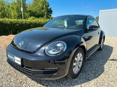 VW Beetle