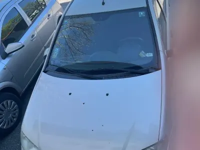 Brugt Fiat Punto