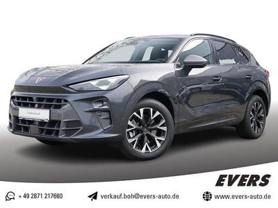 Timanfaya grau Gebraucht 2025 Cupra Terramar SUV | 38.970 € (Guter Preis)