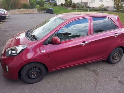 Usata Kia Picanto 67 CV (49 kW) 2016 Utilitaria