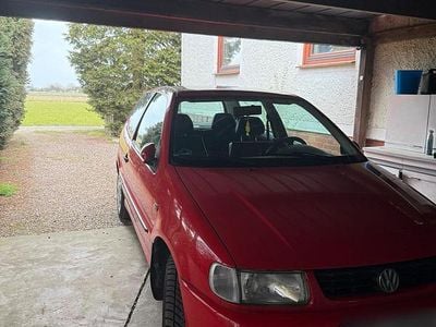 Gebraucht VW Polo 60 PS (44 kW) 1997 Rot Kleinwagen