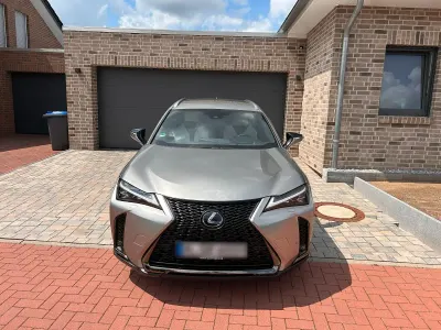Gebraucht Lexus UX 250h