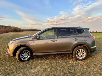 Gebraucht Toyota RAV4 Hybrid Edition-S 155 PS (114 kW) 2016 Braun SUV