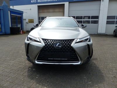 gebraucht Lexus UX 250h Kamera,ACC,LED Scheinwerfwer,