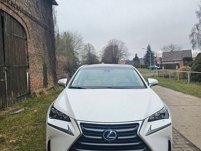 Brugt Lexus NX300 E-FOUR Luxury Line 197 HK (144 kW) 2015 Hvid SUV