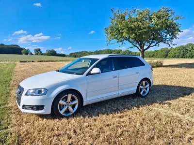 Gebraucht Audi A3 Ambition 125 PS (91 kW) 2009 Weiß Kleinwagen