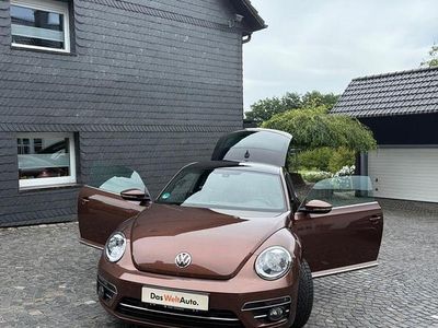 VW Beetle
