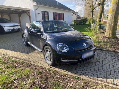 gebraucht VW Beetle 1.4 TSI BMT CLUB Cabriolet CLUB