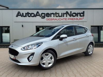Usata Ford Fiesta Cool & Connect 86 CV (63 kW) 2020 Argento Utilitaria