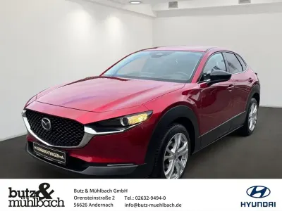Gebraucht Mazda CX-30 Homura-Line 186 PS (136 kW) 2023 Rot SUV
