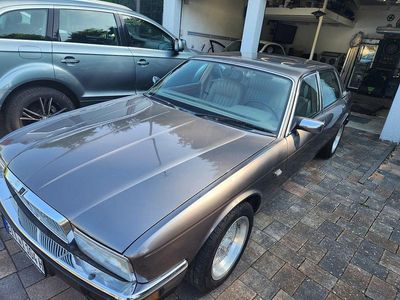 Gebraucht Jaguar XJ40 222 PS (163 kW) 1990 Braun Limousine