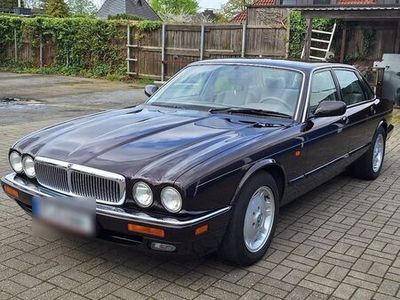 gebraucht Jaguar XJ6 3.2 Executive