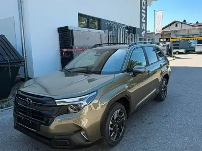 Neu Subaru Forester Active 136 PS (100 kW) 2026 Grün SUV