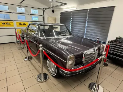 Gebraucht Mercedes 250 150 PS (110 kW) 1971 Violet