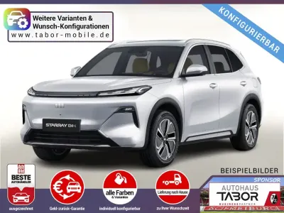 Gebraucht Geely Starray
