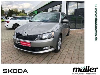 gebraucht Skoda Fabia 1.0 TSI Ambition SHZ BT TEMPOMAT