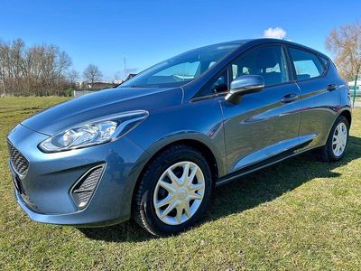 Gebraucht Ford Fiesta Trend 75 PS (55 kW) 2021 Blau Kleinwagen
