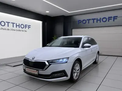 Gebraucht Skoda Octavia Style 150 PS (110 kW) 2022 Moonweiß perleffekt Kombi