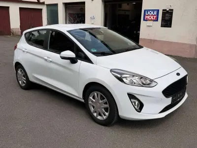 Gebraucht Ford Fiesta 101 PS (74 kW) 2019 Frostweiß Kleinwagen
