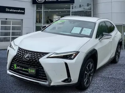 Gebraucht Lexus UX 250h 184 PS (135 kW) 2023 Weiß SUV