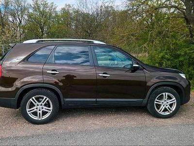 Usata Kia Sorento Platinum Edition 197 CV (144 kW) 2014 Marrone SUV