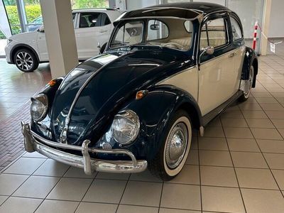 gebraucht VW Käfer mit Winker bj 1960