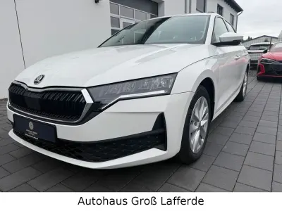 Gebraucht Skoda Octavia Essence 116 PS (85 kW) 2025 Weiß Kombi