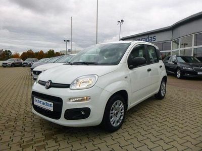 Gebraucht Fiat Panda Easy 69 PS (50 kW) 2020 Weiss Kleinwagen