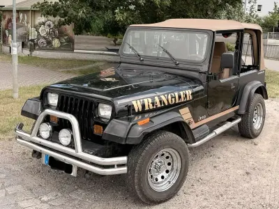 Gebraucht Jeep Wrangler 121 PS (88 kW) 1992 Schwarz SUV