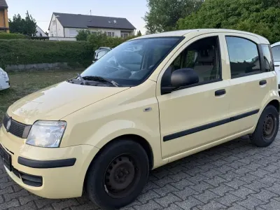 Usata Fiat Panda Active 55 CV (40 kW) 2012 Giallo Utilitaria